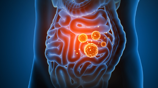 Connecting the Dots: Gut Health, Inflammation, and the Future of Immune Wellness