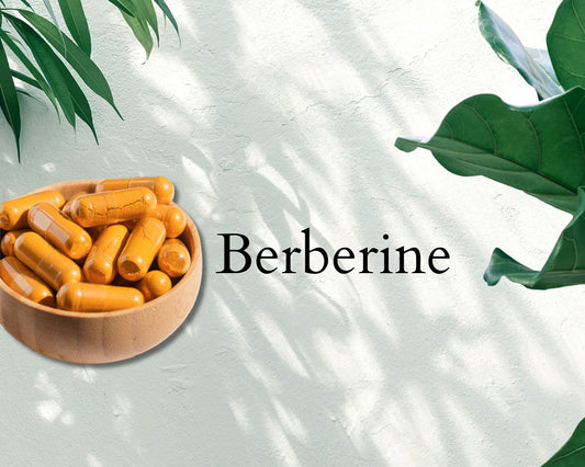 Berberine: Its Rich History, Versatile Uses, and it’s rise to fame