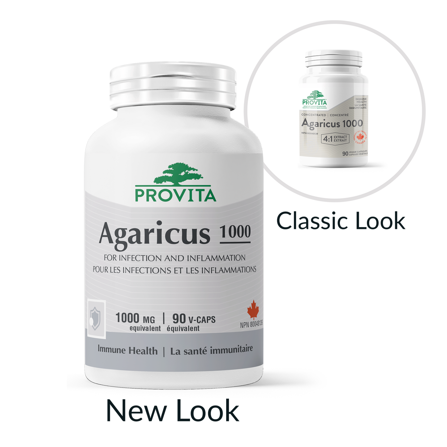 Agaricus 1000