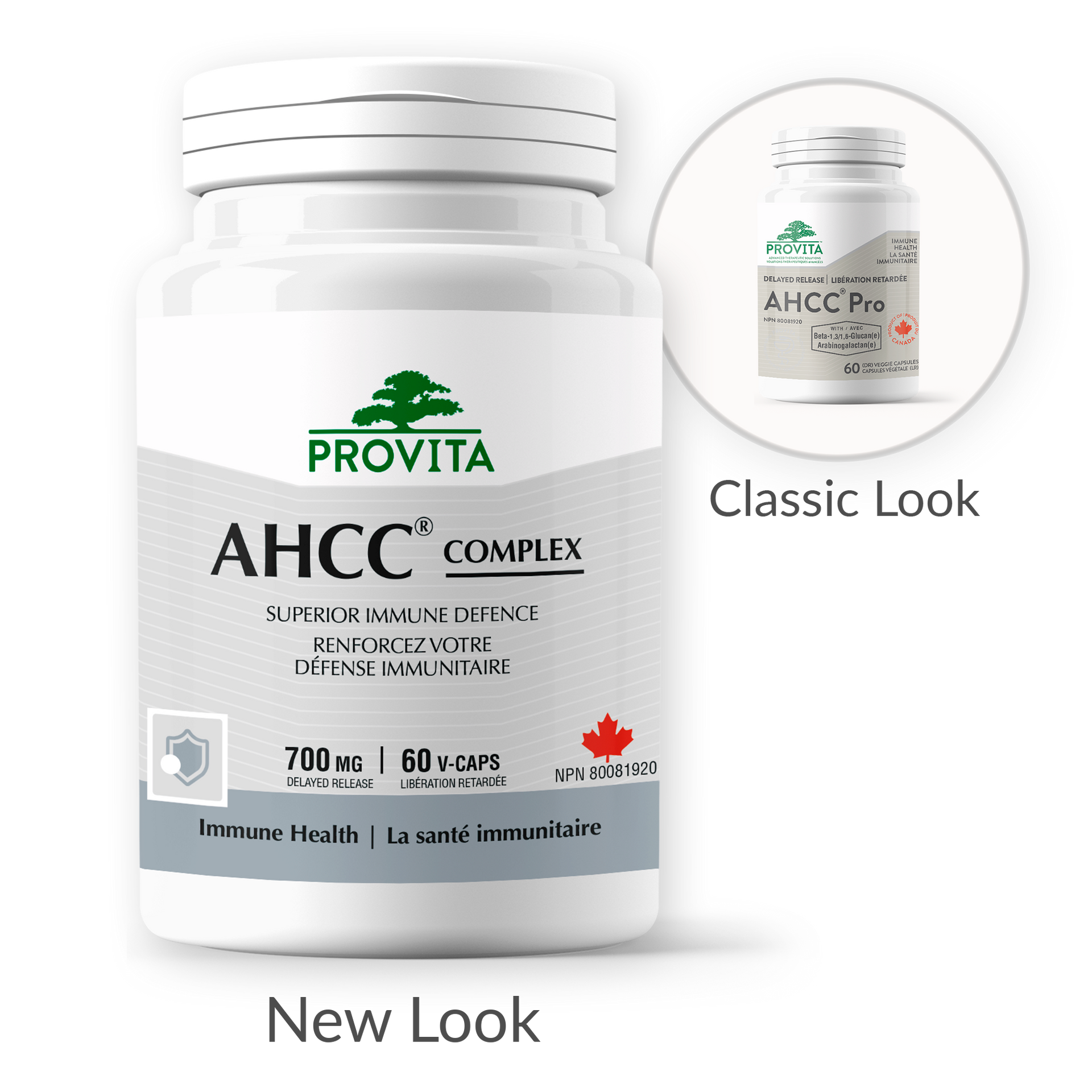 AHCC COMPLEX – PROVITA NUTRITION & HEALTH