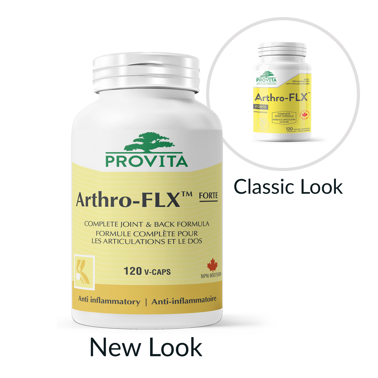 Arthro-FLX Forte