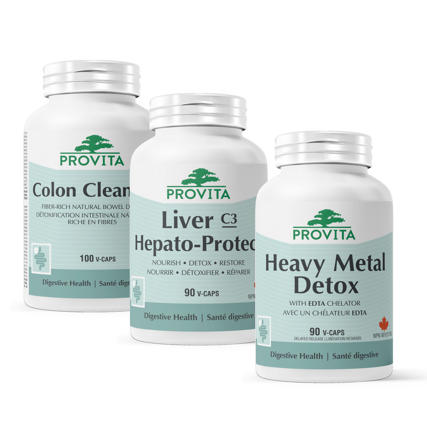 Detoxification Protocol