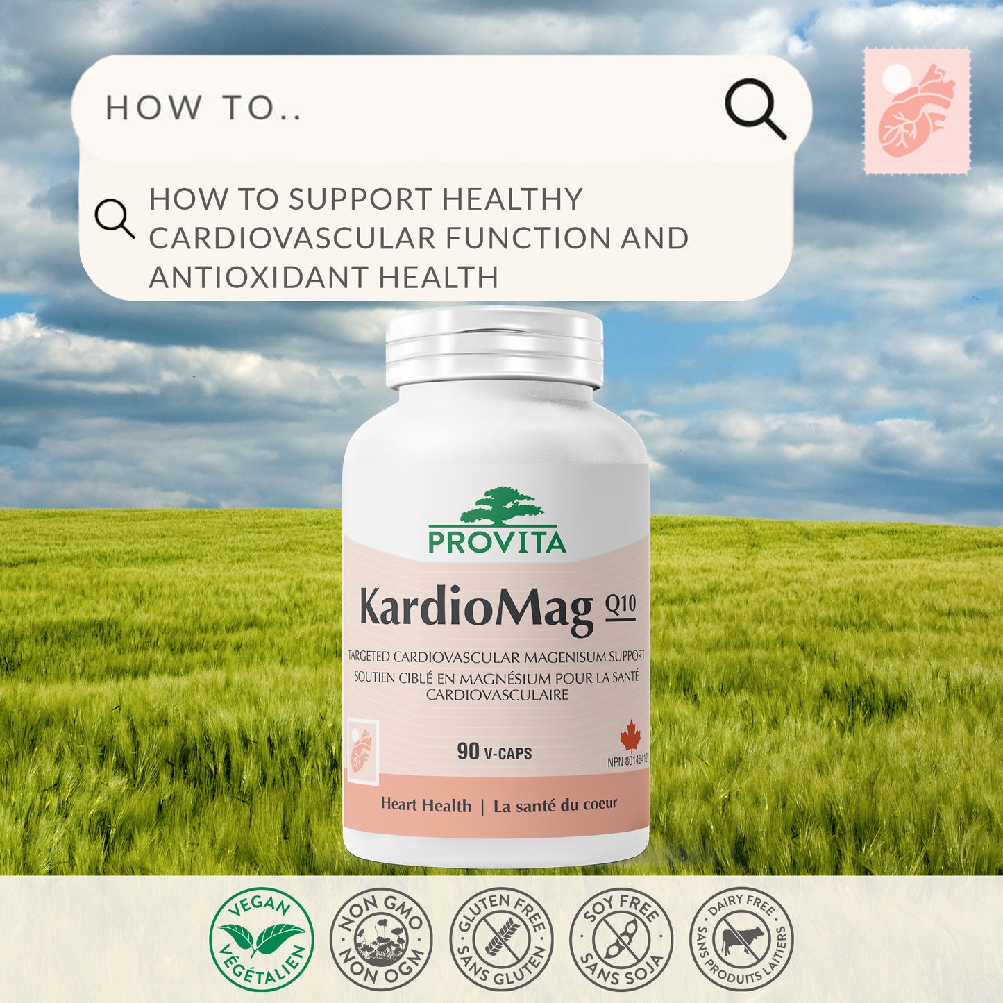KardioMag Q10