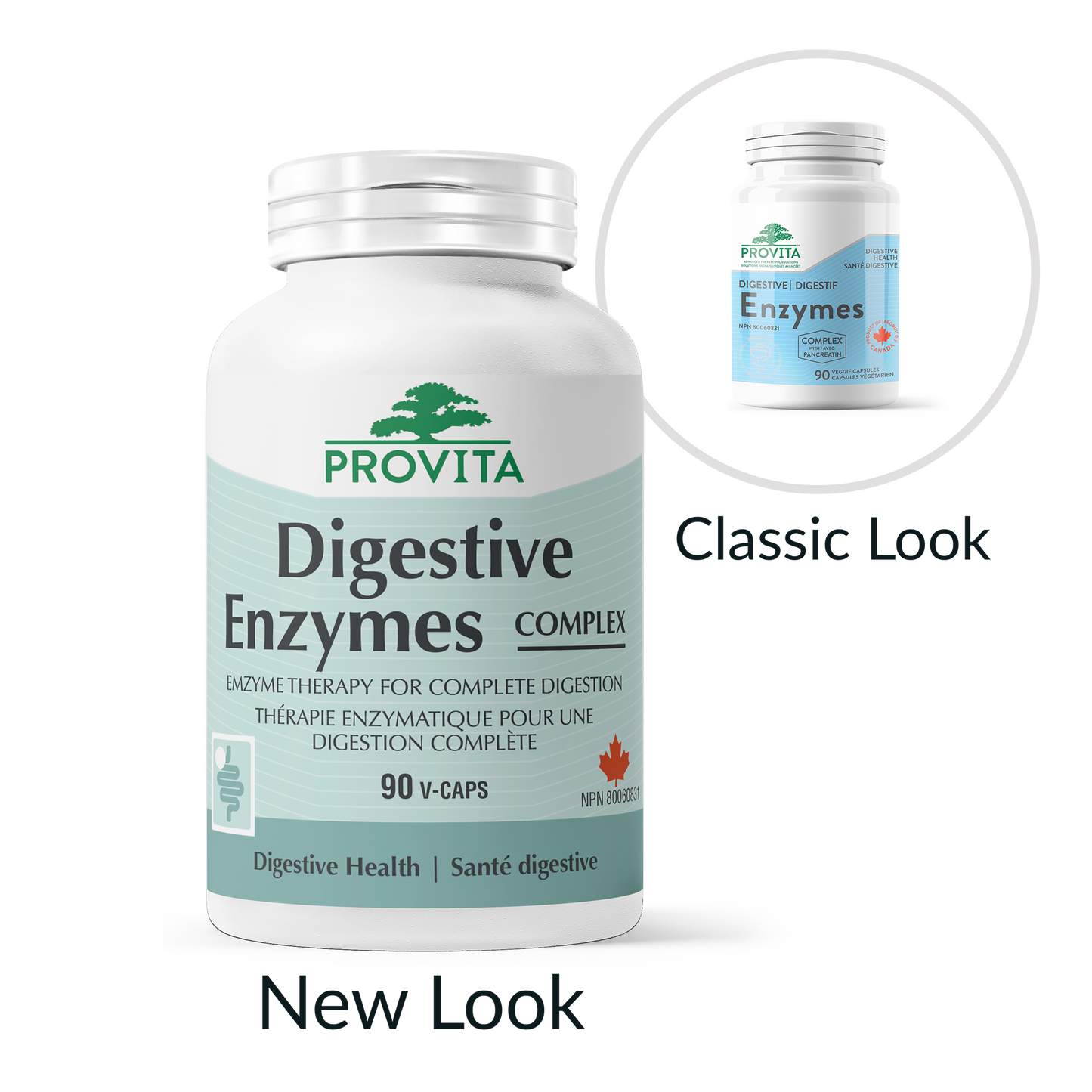 Digestive Enzymes COMPLEX