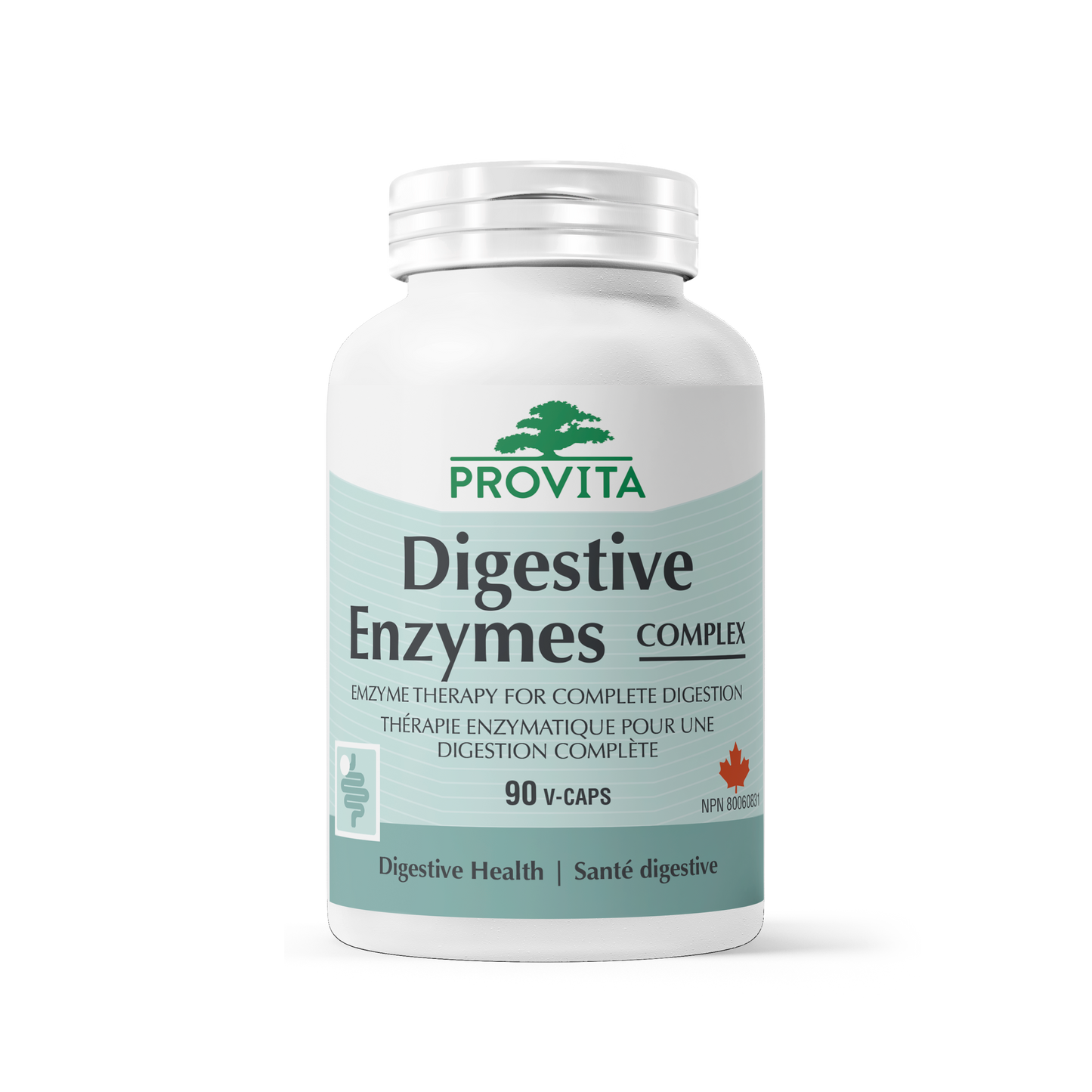Complexe d'Enzymes Digestives