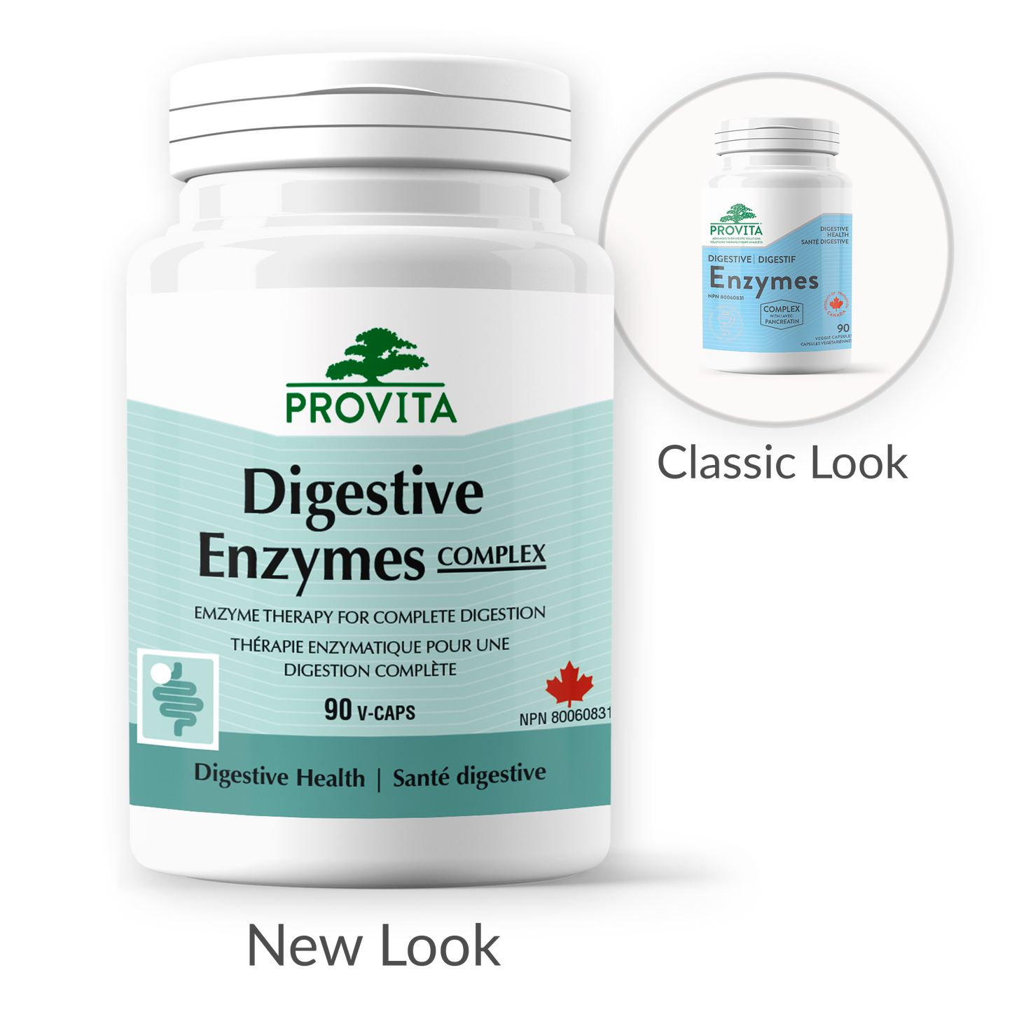 Digestive Enzymes COMPLEX