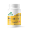 Metabolix AMPK™