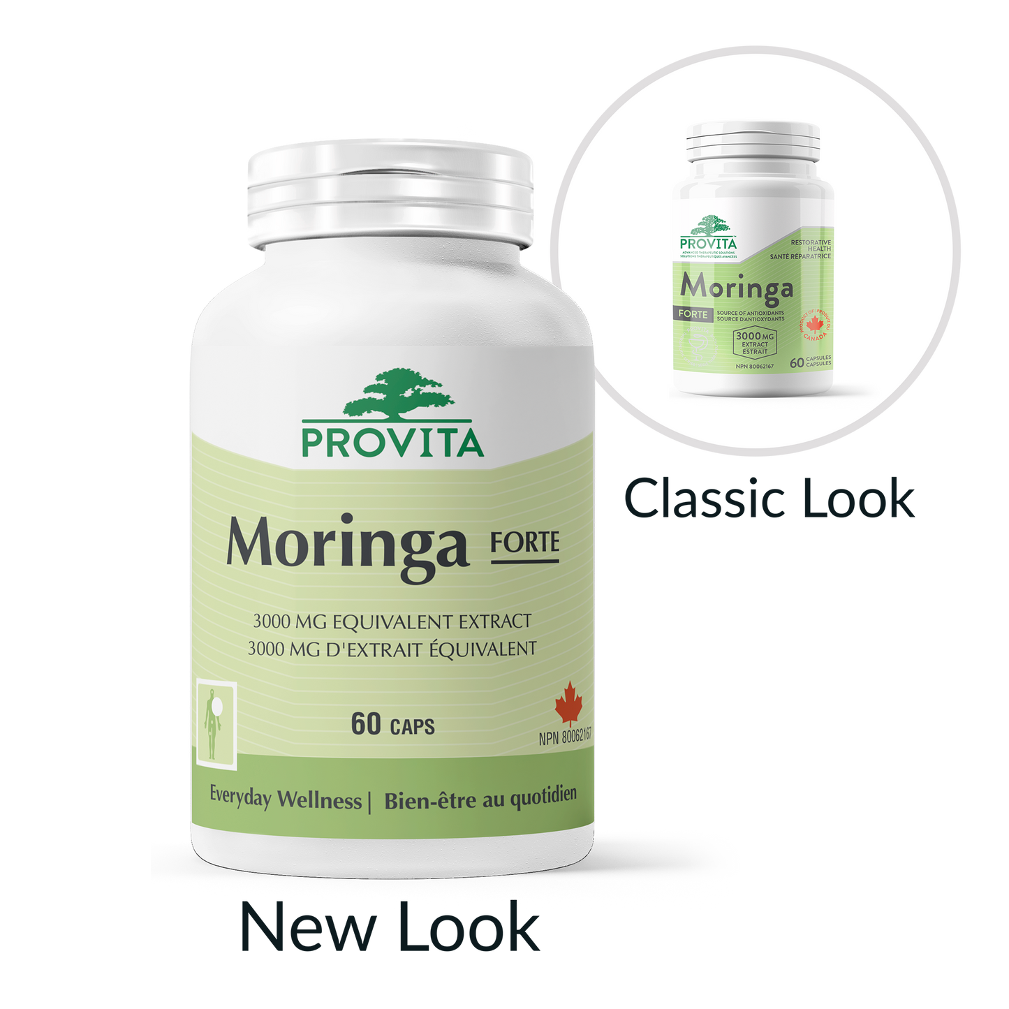 Moringa Forte