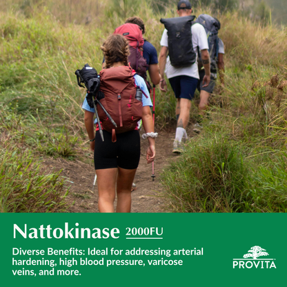 Nattokinase 2000FU